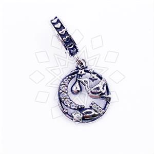 925 Sterling Silver Unique Charm