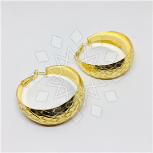 Fashion Geometric Hoop Earrings