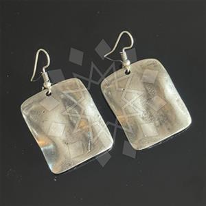 Fashion Dangle Earrings