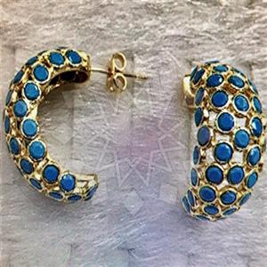 Fashion Distinctive  Hoop Earrings