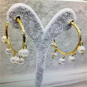 Fashion Distinctive  Hoop Earrings