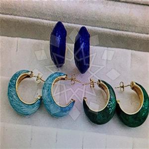 Fashion Distinctive  Hoop Earrings