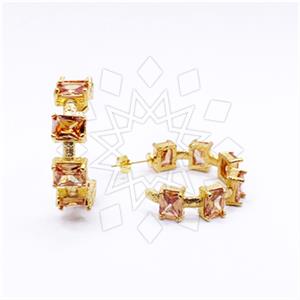 Fashion Distinctive  Hoop Earrings