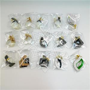 Fashion Gem and Crystals Single Drop Earrings Package