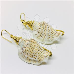 Fashion Puka Shells Dangle Earrings