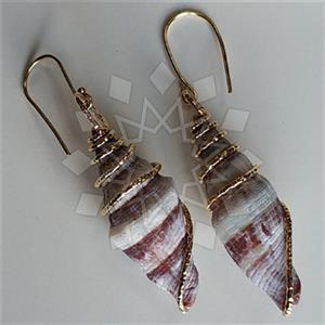 Fashion Puka Shells Dangle Earrings